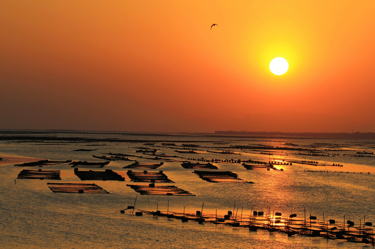 來廈門,暢游“小嶝、大擔(dān)”! 來廈門,暢游“小嶝、大擔(dān)”!